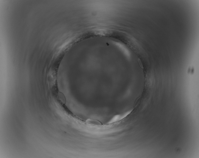 X0000111660043200908071444