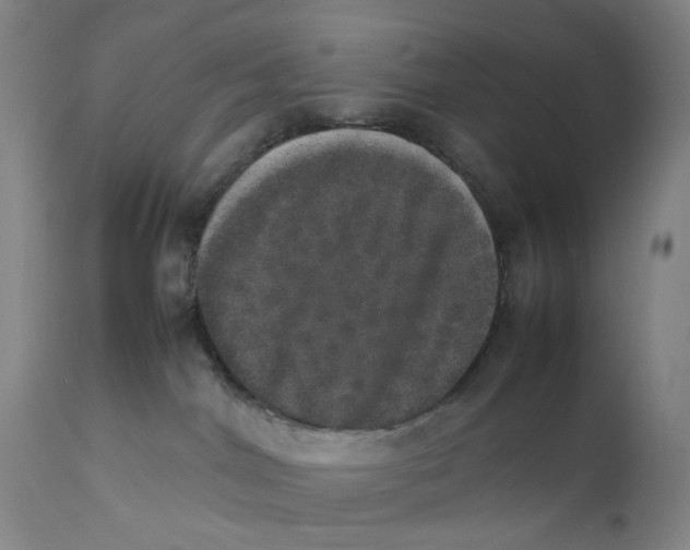 X0000111660044200908071444