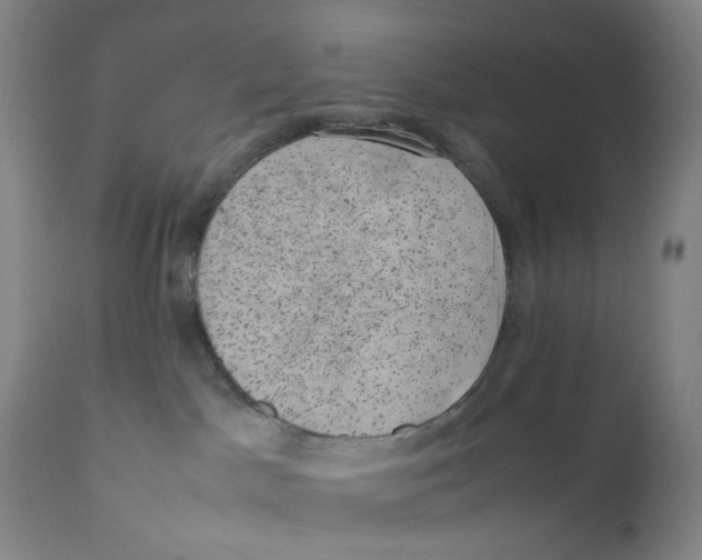 X0000111660045200908071444