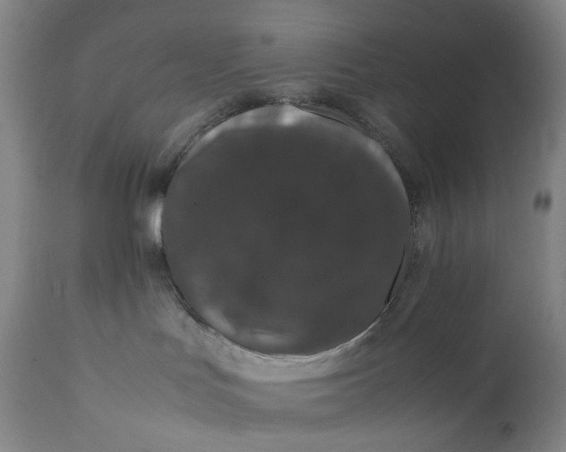 X0000111660047200908071444