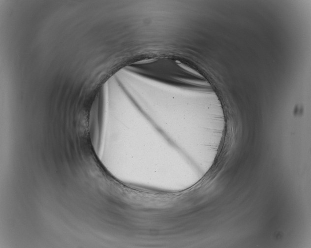 X0000111660048200908071444