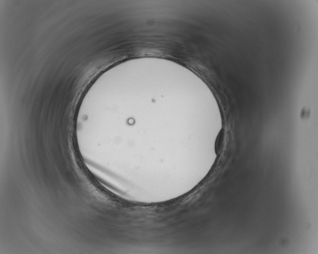 X0000111660049200908071443