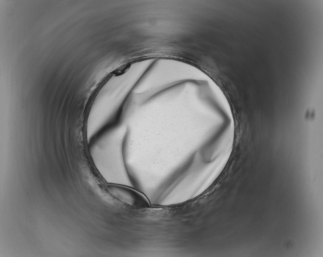 X0000111660050200908071443