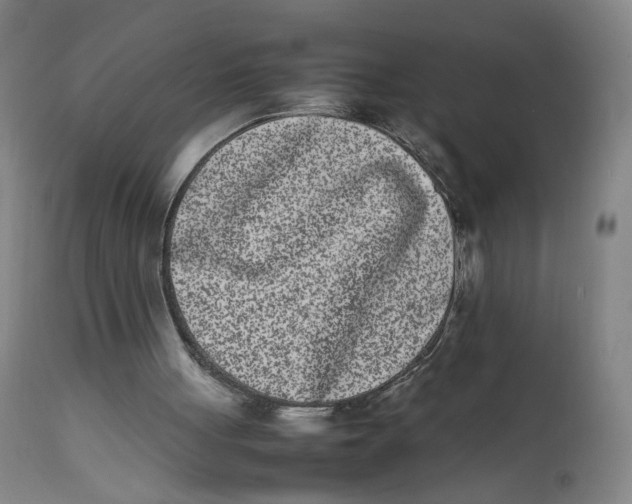 X0000111660051200908071443