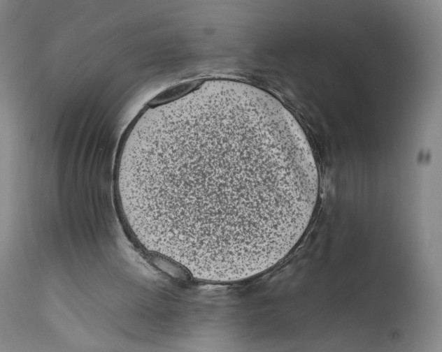 X0000111660052200908071443