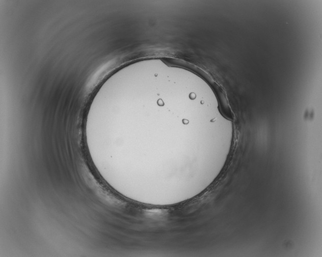 X0000111660053200908071443