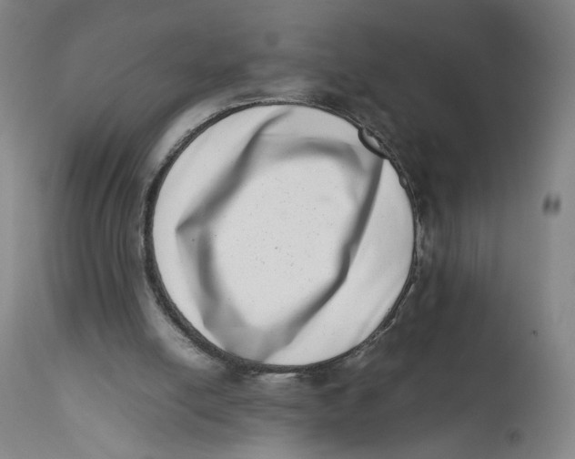 X0000111660054200908071443