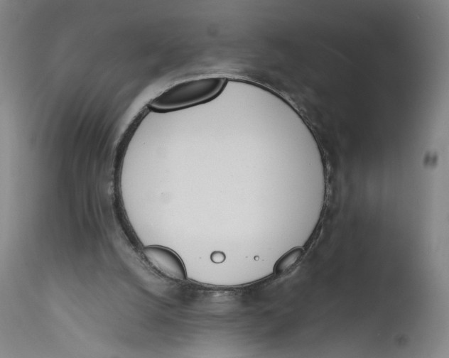 X0000111660056200908071443