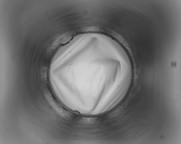 X0000111660057200908071443