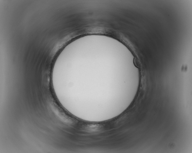 X0000111660059200908071443