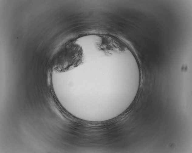 X0000111660061200908071443