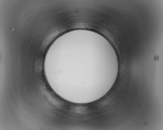 X0000111660063200908071443