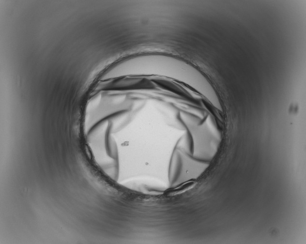 X0000111660064200908071443