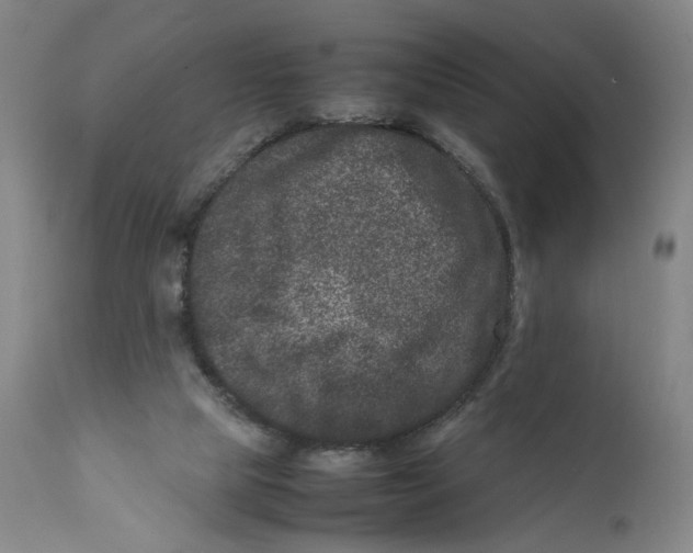 X0000111660065200908071443