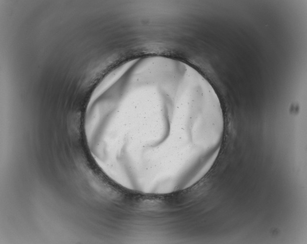 X0000111660066200908071443