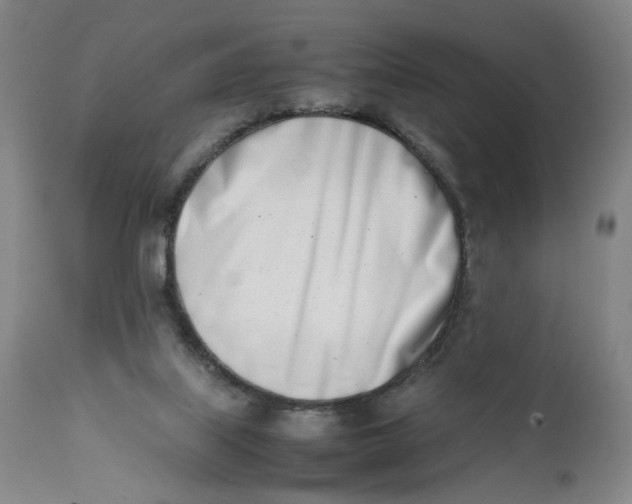 X0000111660067200908071443