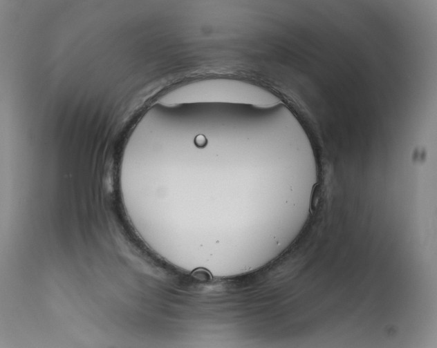 X0000111660068200908071443