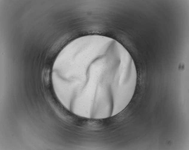 X0000111660070200908071444