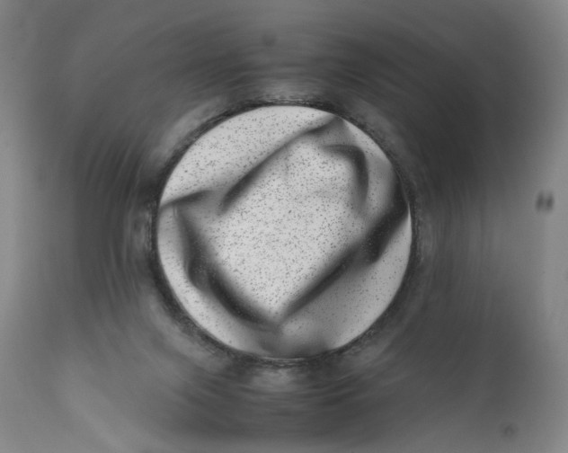 X0000111660071200908071444