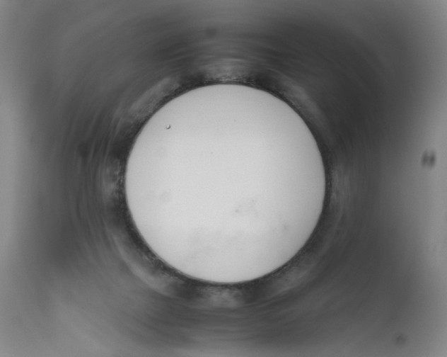 X0000111660073200908071444