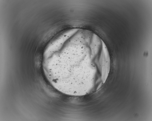 X0000111660074200908071444