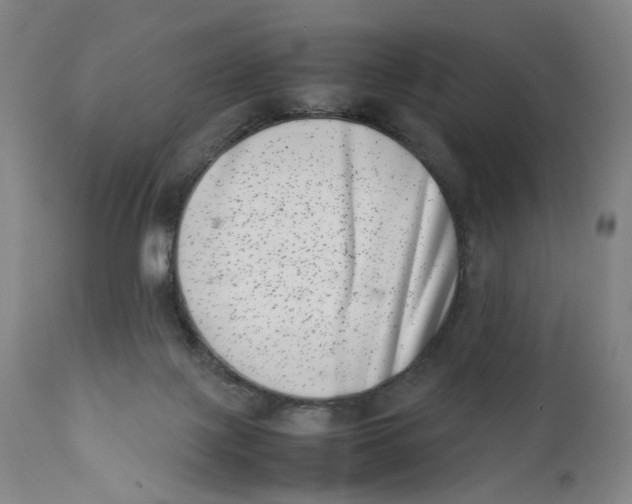 X0000111660075200908071444