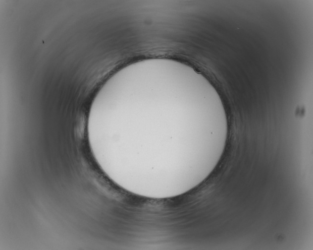 X0000111660076200908071444