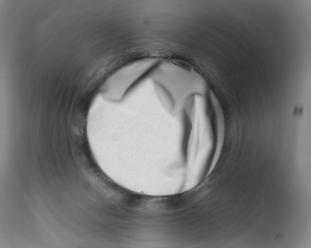 X0000111660078200908071444