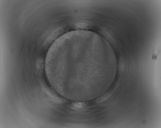 X0000111660079200908071444