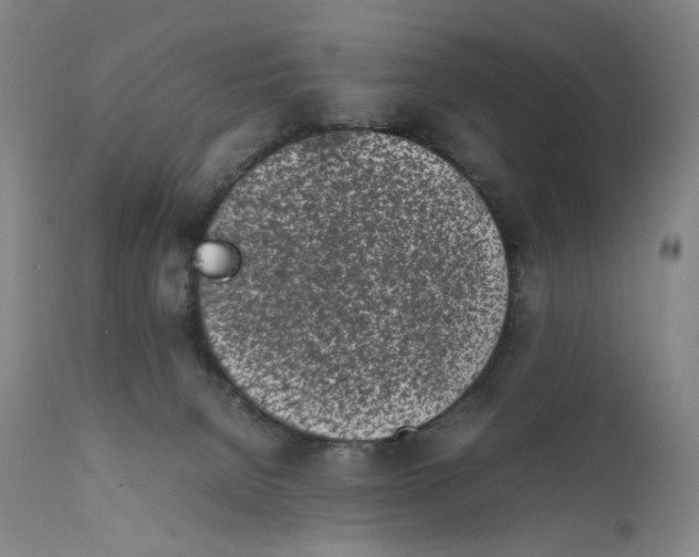 X0000111660080200908071444