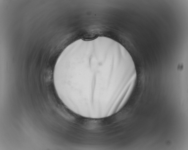 X0000111660081200908071444