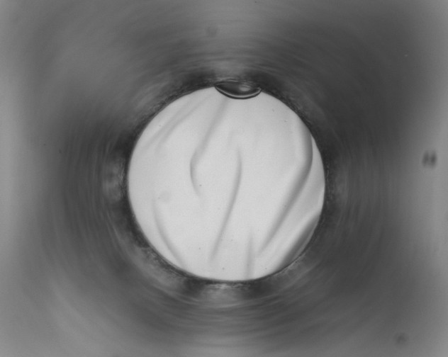 X0000111660082200908071444