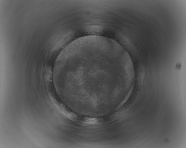 X0000111660083200908071444