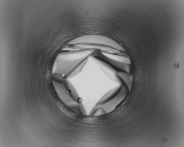 X0000111660084200908071444