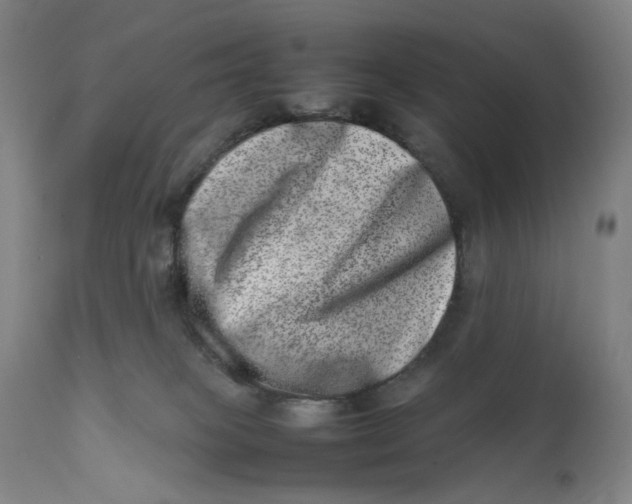 X0000111660085200908071444