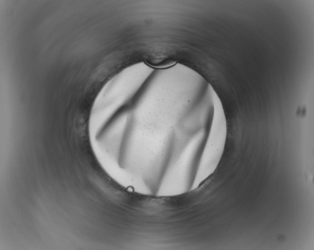 X0000111660086200908071444