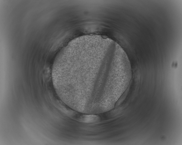 X0000111660087200908071444