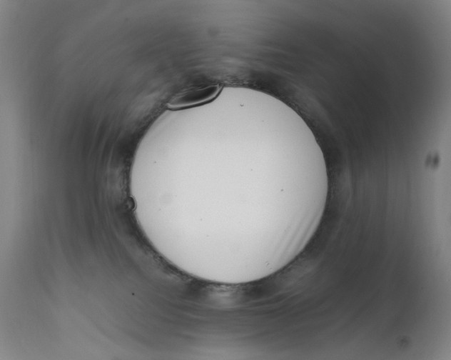 X0000111660088200908071444