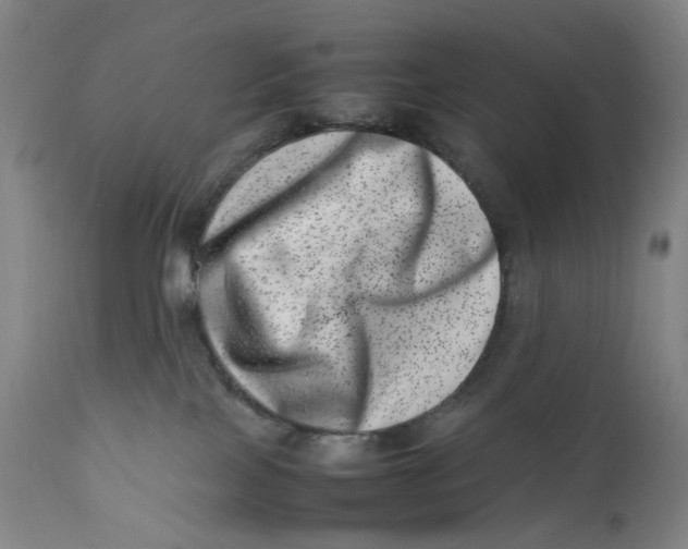 X0000111660089200908071444