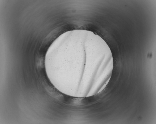 X0000111660090200908071444