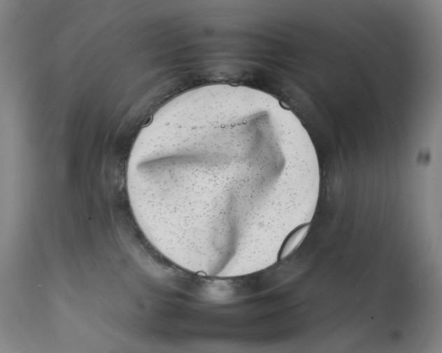 X0000111660091200908071444