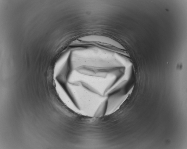 X0000111660092200908071444