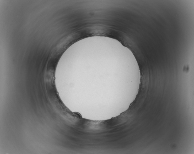 X0000111660093200908071444