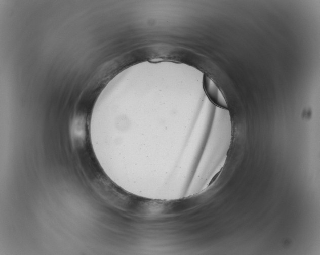 X0000111660094200908071444