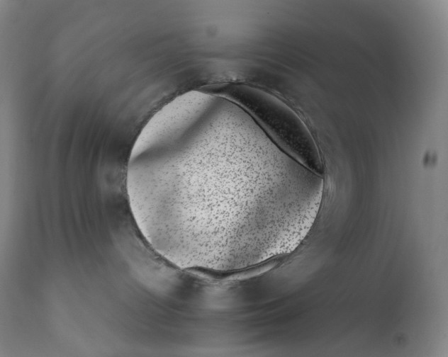 X0000111660096200908071444