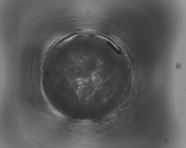 X0000111660097200908071443