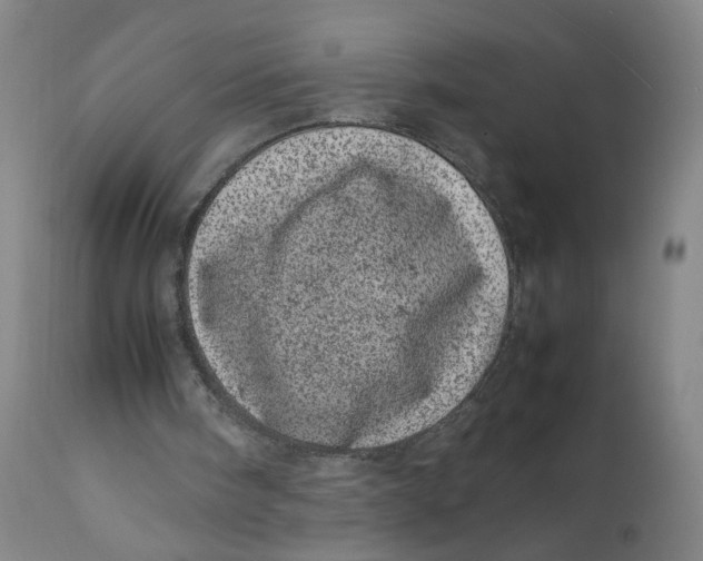 X0000111660098200908071443