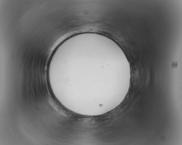 X0000111660100200908071443