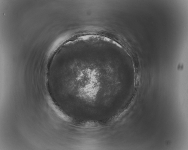 X0000111660101200908071443