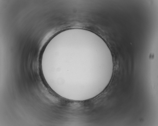 X0000111660102200908071443